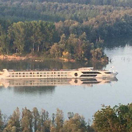 Kuca Za Odmor Brzica Erdut Exterior foto