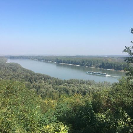 Kuca Za Odmor Brzica Erdut Exterior foto