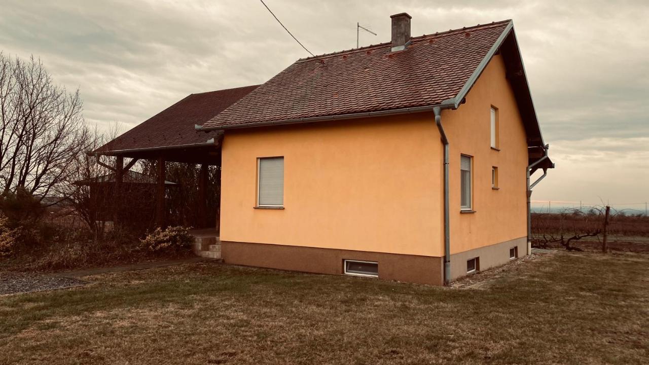 Kuca Za Odmor Brzica Erdut Exterior foto