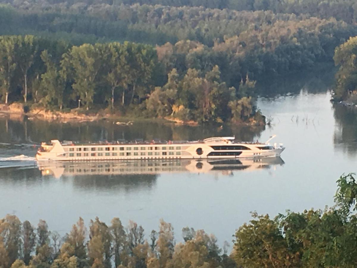 Kuca Za Odmor Brzica Erdut Exterior foto