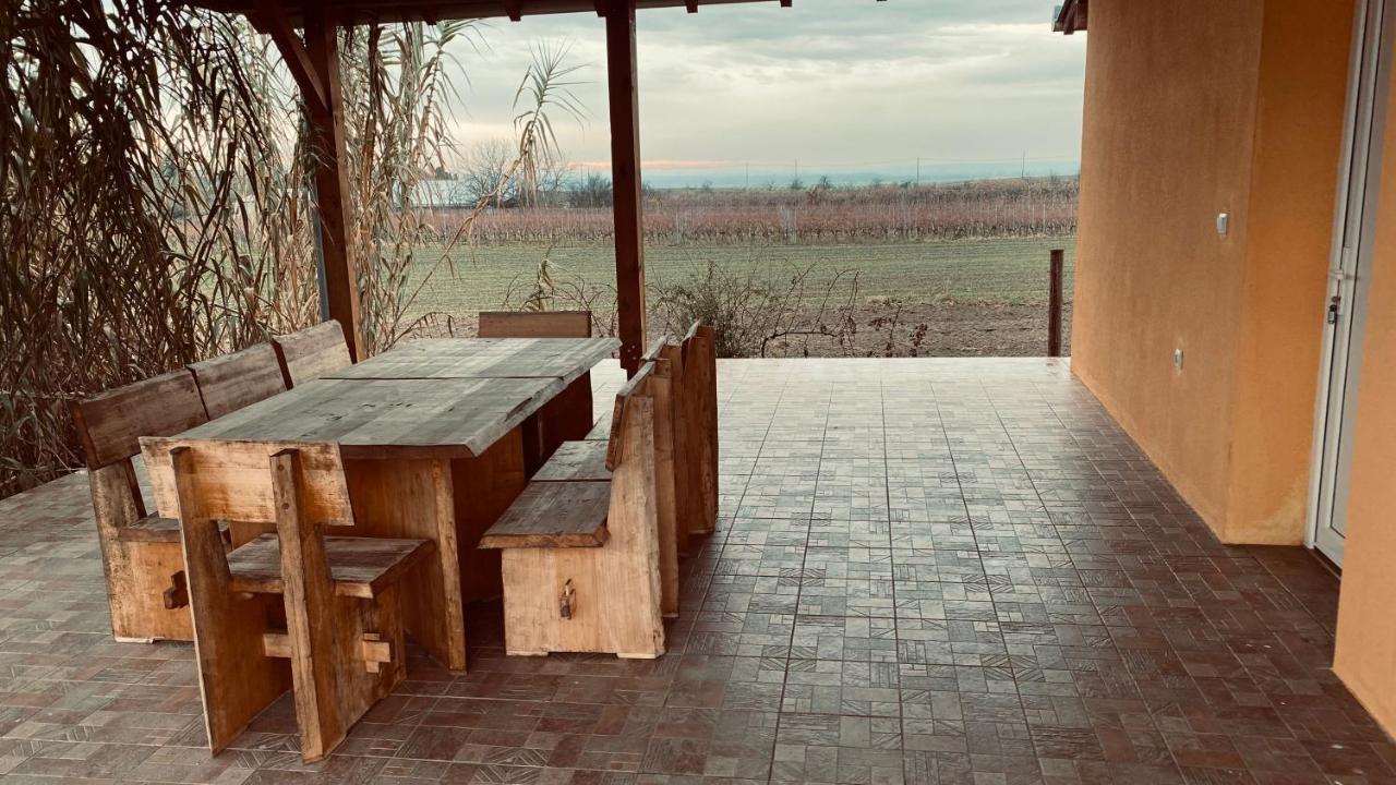 Kuca Za Odmor Brzica Erdut Exterior foto